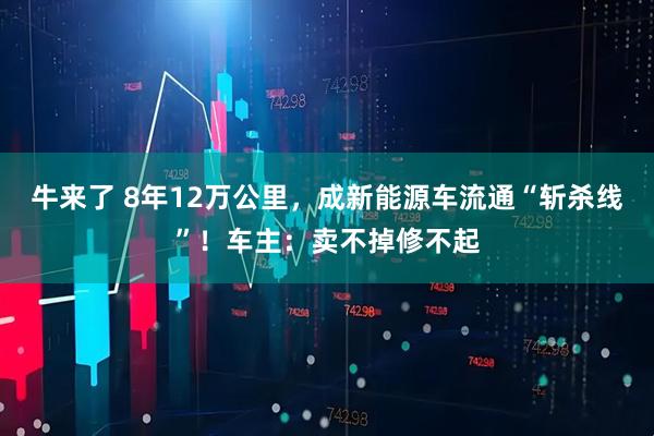 牛来了 8年12万公里，成新能源车流通“斩杀线”！车主：卖不掉修不起