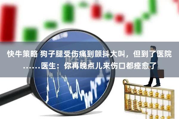 快牛策略 狗子腿受伤痛到颤抖大叫，但到了医院……医生：你再晚点儿来伤口都痊愈了