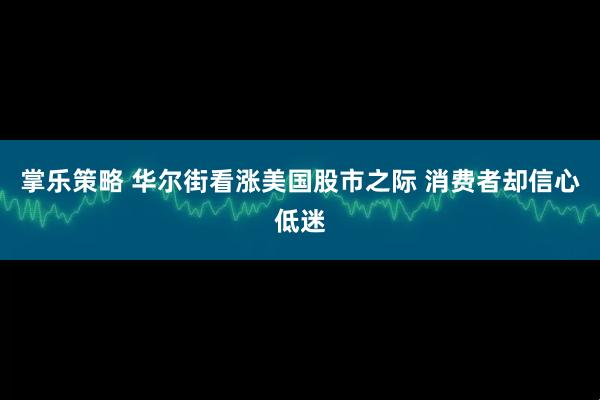 掌乐策略 华尔街看涨美国股市之际 消费者却信心低迷