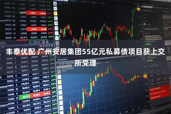 丰泰优配 广州安居集团55亿元私募债项目获上交所受理