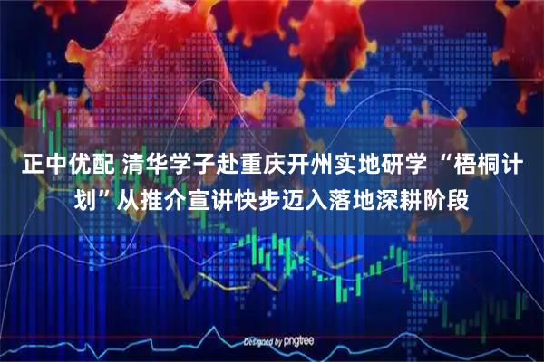 正中优配 清华学子赴重庆开州实地研学 “梧桐计划”从推介宣讲快步迈入落地深耕阶段