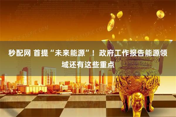 秒配网 首提“未来能源”！政府工作报告能源领域还有这些重点