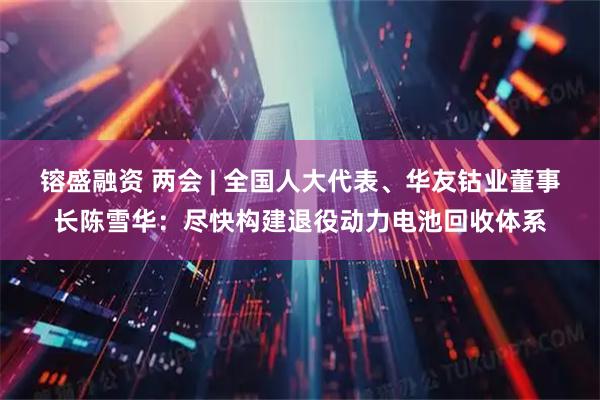 镕盛融资 两会 | 全国人大代表、华友钴业董事长陈雪华：尽快构建退役动力电池回收体系