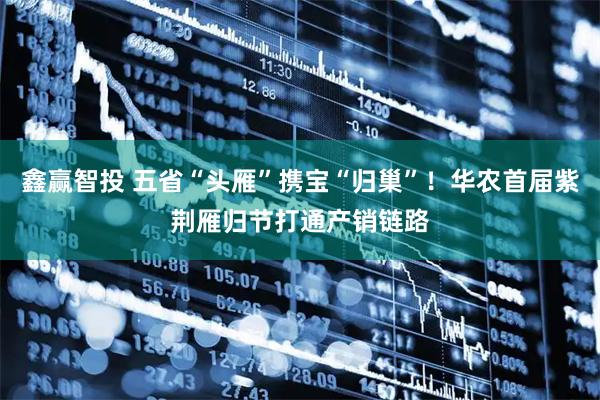 鑫赢智投 五省“头雁”携宝“归巢”！华农首届紫荆雁归节打通产销链路