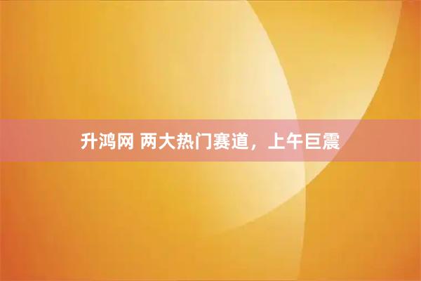 升鸿网 两大热门赛道，上午巨震