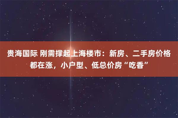 贵海国际 刚需撑起上海楼市：新房、二手房价格都在涨，小户型、低总价房“吃香”