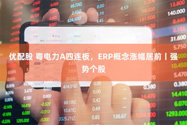 优配股 粤电力A四连板，ERP概念涨幅居前丨强势个股