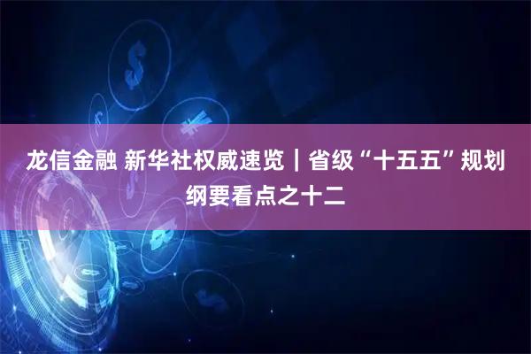 龙信金融 新华社权威速览｜省级“十五五”规划纲要看点之十二