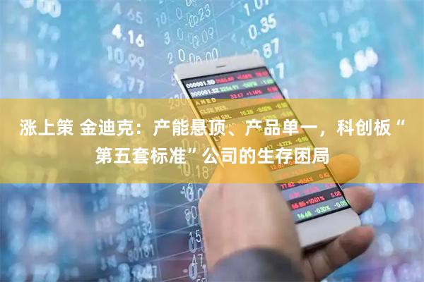 涨上策 金迪克：产能悬顶、产品单一，科创板“第五套标准”公司的生存困局