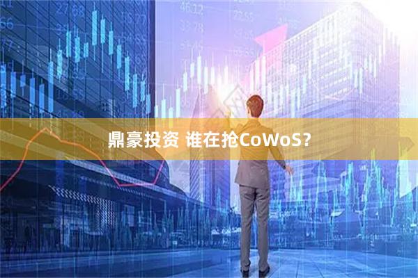 鼎豪投资 谁在抢CoWoS？