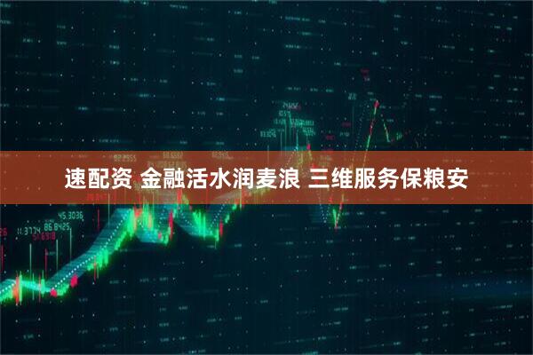 速配资 金融活水润麦浪 三维服务保粮安