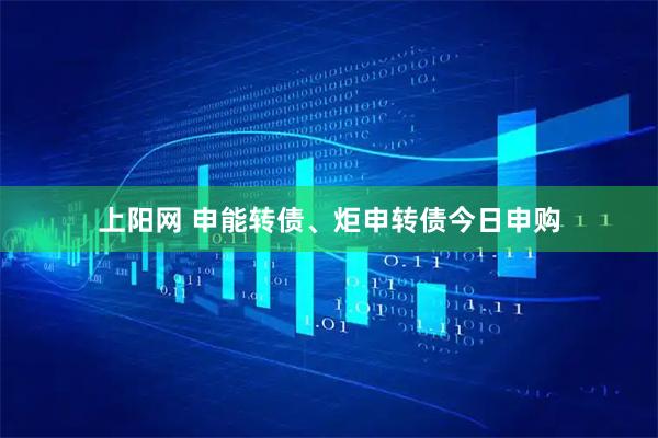 上阳网 申能转债、炬申转债今日申购