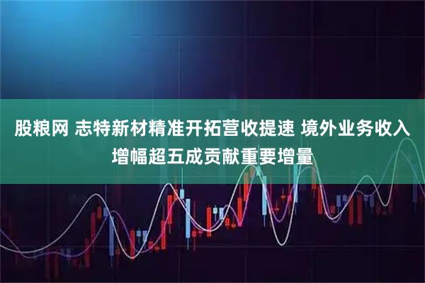 股粮网 志特新材精准开拓营收提速 境外业务收入增幅超五成贡献重要增量